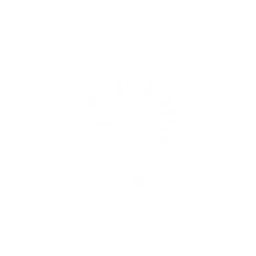 Logo de RS Revolution
